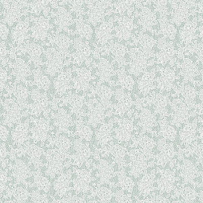 Ланіта Катрін ДХН 2-411 1.06x10.05 м