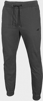 Брюки 4F D4Z20-SPMC300-24S р. XL серый