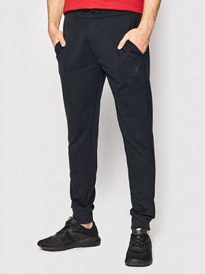 Брюки 4F H4L22-SPMD350-30S р. 3XL темно-синий