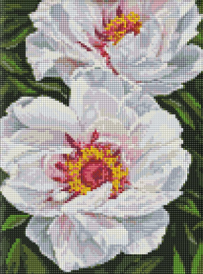 Алмазна мозаїка Білі півонії ©ArtAlekhina Ideyka