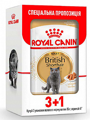 Корм вологий для дорослих котів породи Британська короткошерста Royal Canin British Shorthair Adult 3+1 шт. 85 г