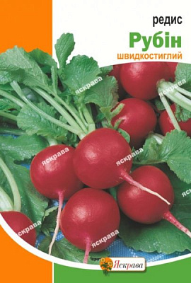 Насіння Яскрава редиска Рубін 10г