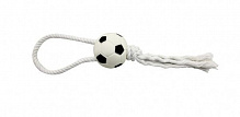 Игрушка ZooMax Мяч футбольний 6,5х35 см EV080