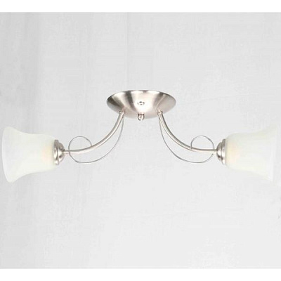 Люстра потолочная Геотон А538-2 2x60 Вт E27 матовый хром 