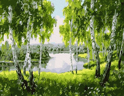 Картина по номерам Березовая роща BookOpt 