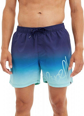 Шорты Firefly Yanu M 422170-518 р. S синий