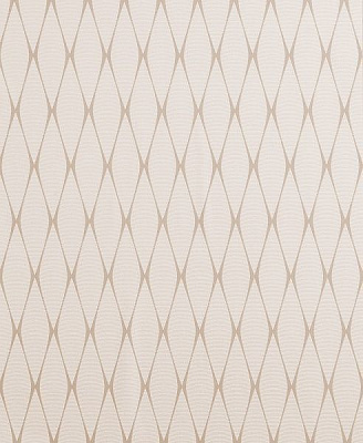 Шпалери вінілові на паперовій основі Bravo 85013BR13 0,53x10,05 м