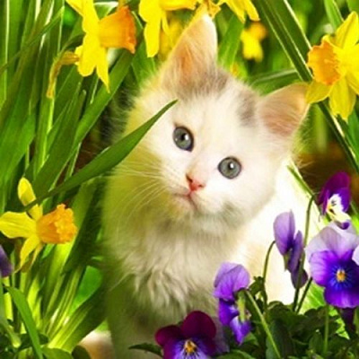 Набір для творчості зі стразами на підрамнику Перші квіти 30x30 см Діамантові ручки