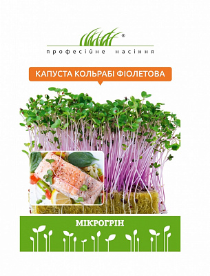 Семена Професійне насіння капуста кольраби капуста фиолетовая кольраби 10 г (4820176697684)