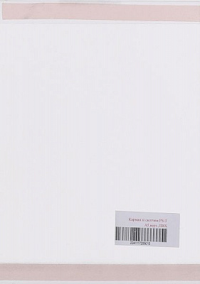 Кишеня зі скотчем PS-T А5 171048