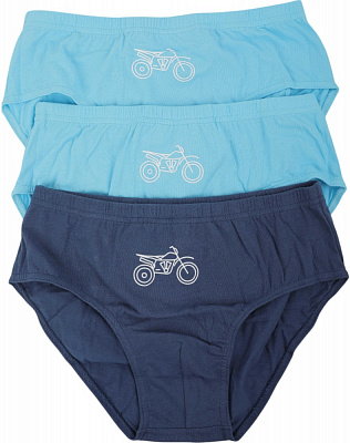 Набор трусов для мальчиков HW 3 пары р.158-164 голубой с синим P6-Q6