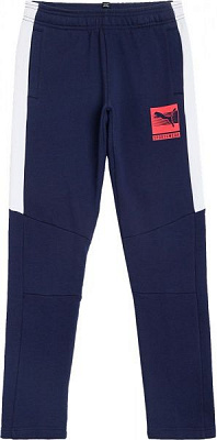 Штани Puma Boys Pants FL 58486806 р. 110 синій