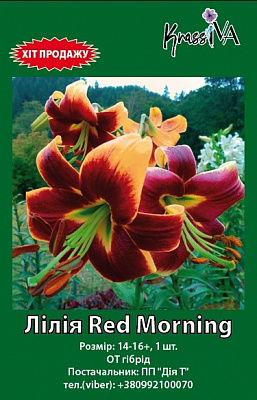 Луковица інше лилия Red Morning 1 шт. 