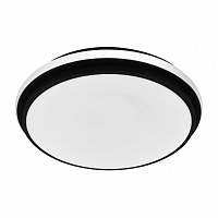 Світильник світлодіодний Eurolamp круг A51 36 Вт білий 3000-6500 К LED-ALR-18-A51(black) 