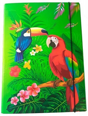 Папка на резинці Птахи 306-40\PT iTEM