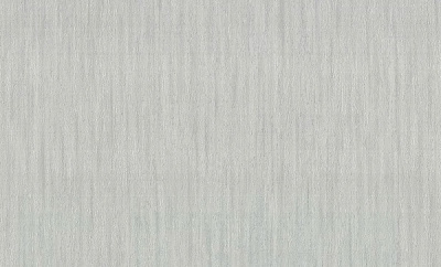 Обои виниловые на флизелиновой основе Vinil Айрин стена ЭШТ 3-1567 1,06x10,05 м 