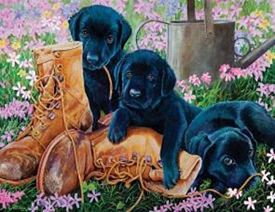 Картина стразами на подрамнике Сами дома 40x50 см 188594 Діамантові ручки 