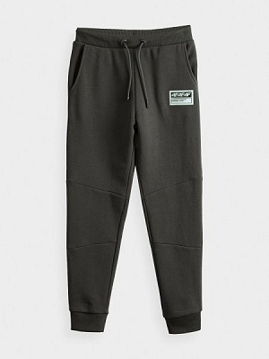 Штани 4F J4Z20-JSPMD207A-22S р. 164 сірий