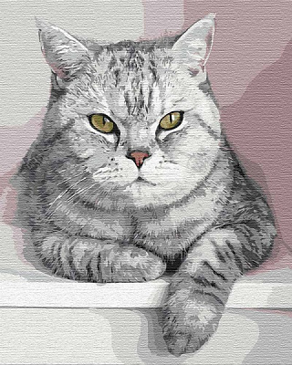 Картина по номерам Мой пушистый друг Идейка 