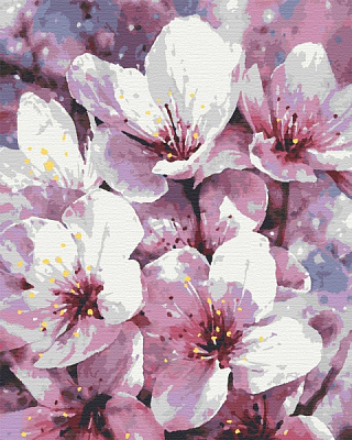 Картина по номерам Вишневый 40x50 см Riviera Blanca 