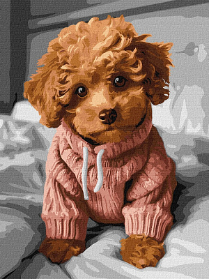 Картина по номерам Очаровательный мальтип ©art_selena_uа 30x40 см Идейка