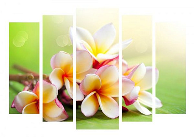 Картина модульна Квіти 187 118x80 см