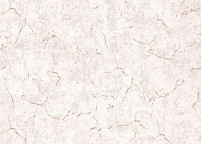 Обои Славянские обои Comfort Барбарис 2 5600-01 