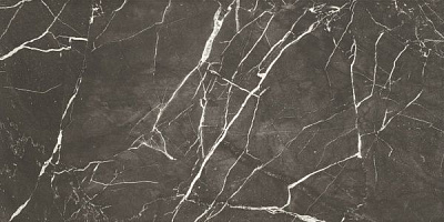 Плитка Ceramika Paradyz Libre Nero Rekt. 29,8x59,8