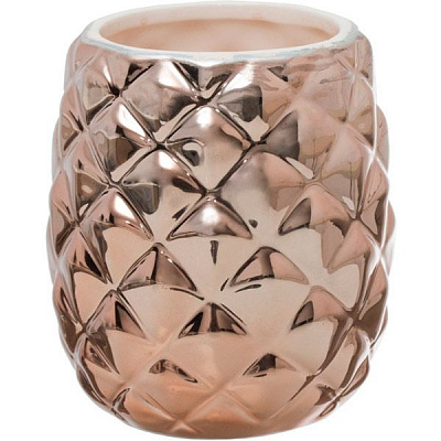 Стакан для зубных щеток Axentia Ананас 128203