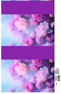 Пакет подарунковий