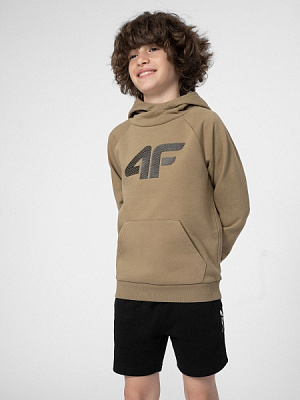 Джемпер 4F SWEATSHIRT M220 4FJSS23TSWSM220-83S р. 122 бежевий