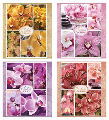Комплект тетрадей Орхидеи-2 48 л. линия 16 шт./уп. (4 дизайна) Мечты сбываются