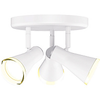 Спот Maxus Spot Light MSL-02R 3x4 Вт білий 