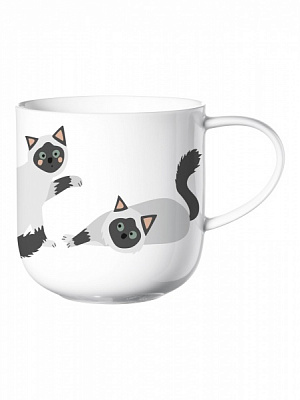 Чашка Бирма 400 мл 19442014 ASA