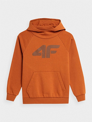 Джемпер 4F SWEATSHIRT M0780 4FJMM00TSWSM0780-82S р. 128 коричневый