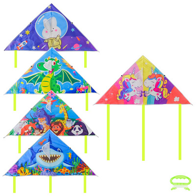 Повітряний змій Shantou VZ2472