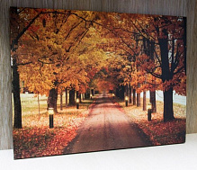 Картина LED Осень 1, с элементами питания 30x40 см оранжевый 