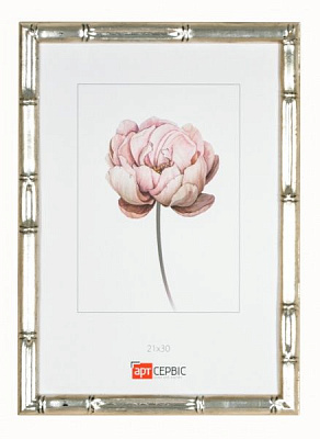 Рамка для фото Арт-Сервіс ЭА-01587 21х30 см серебряный 