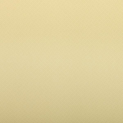 Шпалери зі спіненого вінілу Amber BellaVita 369517 0,53x10,05 м