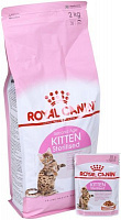 Корм Royal Canin сухой для котов Kitten Sterilised in Gravy 2 кг +3 пауча