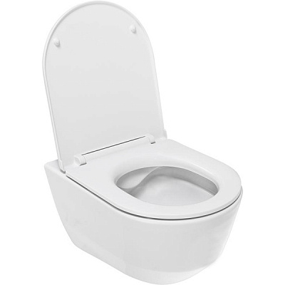 Унітаз підвісний Laufen Pro Rimless 8.2096