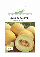 Семена Професійне насіння дыня Галанет F1 8 шт. (4820176696687)