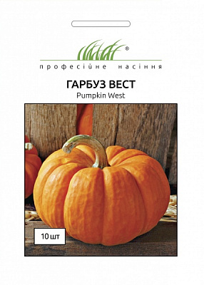 Семена Професійне насіння тыква Вест 10 шт. (4820176696960)