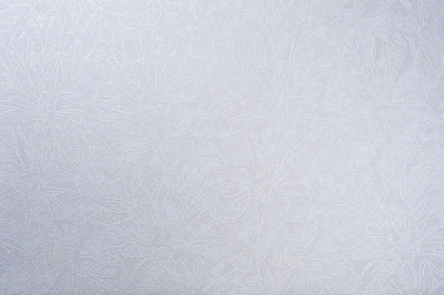 Шпалери зі спіненого вінілу Vinil Фіджі декор ДХС-1480/2 1,06x10,05 м