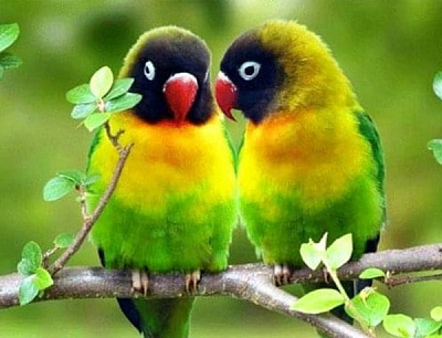 Набір для творчості зі стразами на підрамнику Це наш секрет 40х50 см Діамантові ручки