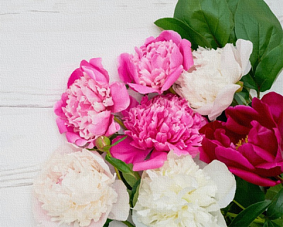 Картина по номерам Пионовая фиеста 13107-AC 40х50 см ArtCraft 