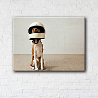 Постер Dog astronaut 90x120 см Brushme 