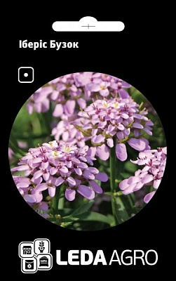 Семена LedaAgro иберис Сирень 0,5 г (4820119796177)