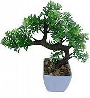 Растение Бонсай декорум 15х30 см