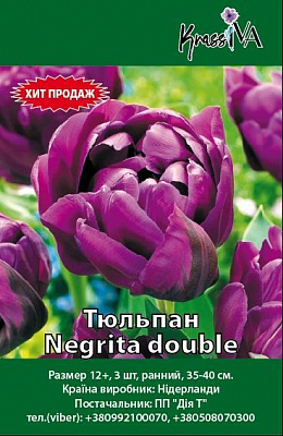 Цибулина Тюльпан Negrita double 3 шт.